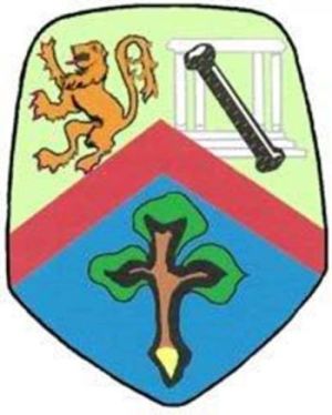 Arms of Sandhurst