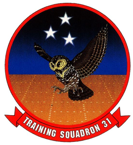File:VT-31 Wise Owls, US Navy.jpg