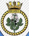HMS Bramble, Royal Navy.jpg