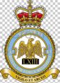 No 63 Squadron, Royal Air Force Regiment.jpg