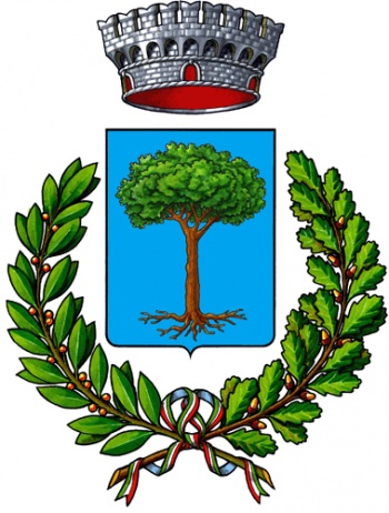 Stemma di Castelnuovo di Val di Cecina/Arms (crest) of Castelnuovo di Val di Cecina