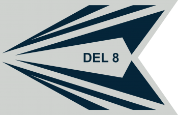 Arms of Space Delta 8, US Space Force