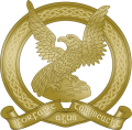 Irish Air Corps.png