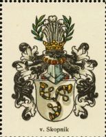 Wappen von Skopnik