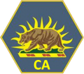 California State Guard, USA1.png
