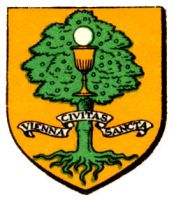 Blason de Vienne/Arms (crest) of Vienne