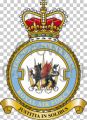 No 3 (Tactical) Police Wing, Royal Air Force.jpg