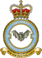 No 9 Squadron, Royal Air Force.png