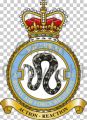 No 26 Squadron, Royal Air Force Regiment.jpg