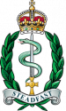 Royal Army Medical Services, British Army.png