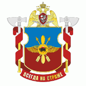 Coat of arms (crest) of the Separate Aviation Squadron Engels, National Guard of the Russian Federation