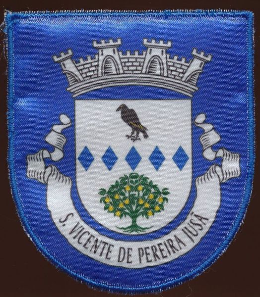 File:Svicentepj.patch.jpg