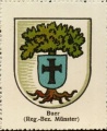 Arms of Buer