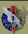 1st Squadron, 13th Parachute Dragoons Regiment, French Army.jpg