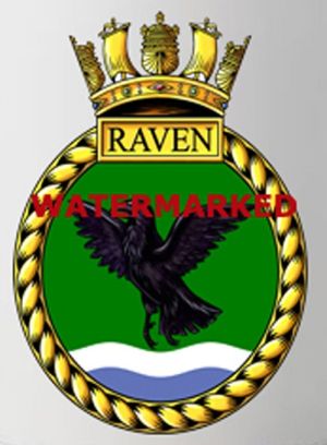 HMS Raven, Royal Navy.jpg