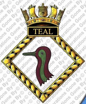 HMS Teal, Royal Navy.jpg