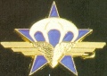 1st Parachute Chasseur Regiment, French Army.jpg