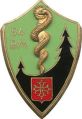 54th Medical Battalion, French Army.jpg