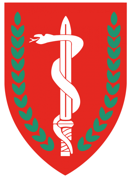 File:Medical Corps, Israeli Ground Forces3.png