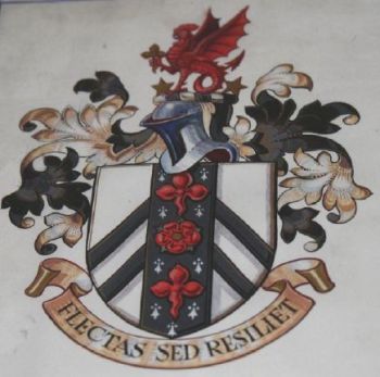 Arms (crest) of Birmingham General Hospital