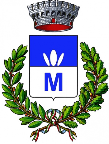 Stemma di Montano Antilia/Arms (crest) of Montano Antilia