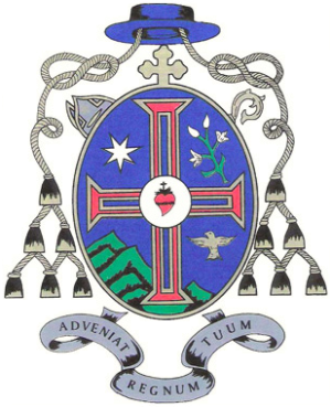 Arms (crest) of José da Cruz Moreira Pinto