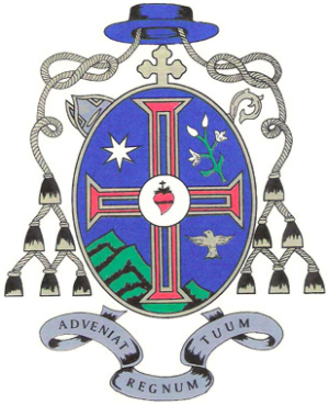 Arms of José da Cruz Moreira Pinto