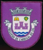 Brasão de Carregal do Sal/Arms (crest) of Carregal do Sal