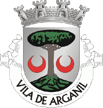 Brasão de Arganil (city)/Arms (crest) of Arganil (city)