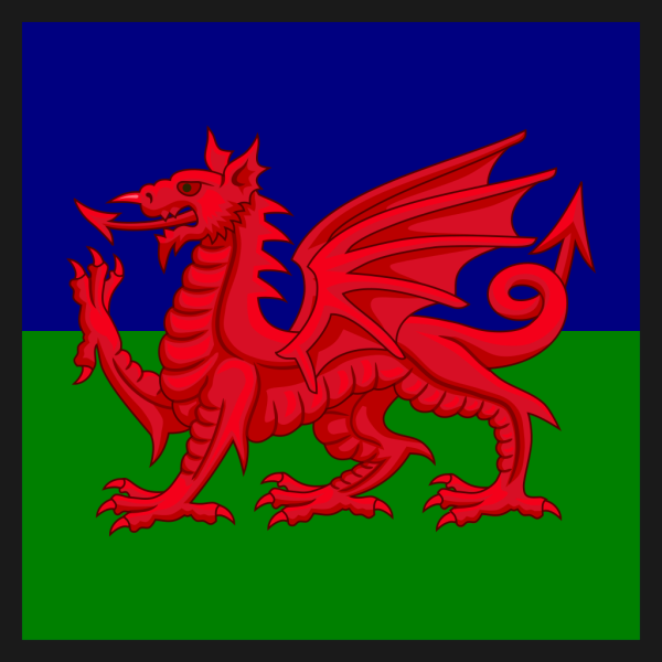 File:The Royal Welsh, British Armytrf.png