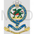 The Queen's Regiment, British Army.jpg