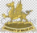 University of Wales Officer Training Corps.jpg