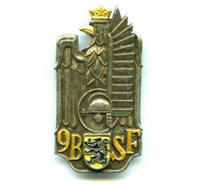 File:9th Flanders Rifle Battalion, Polish Army.jpg