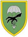 Parachute Jaeger Battalion 272, German Army.png