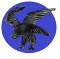 2nd Squadron, 8th Wing, Swedish Air Force.jpg