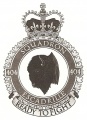 No 404 Squadron, Royal Canadian Air Force.jpg