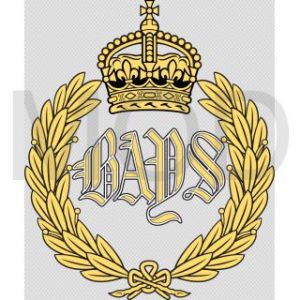 The Queen's Bays (2nd Dragoon Guards), British Army.jpg