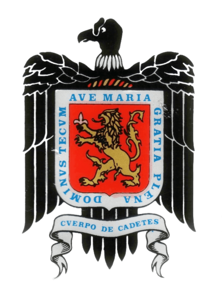 File:Air Force Cadet Corps, Argentina1.png