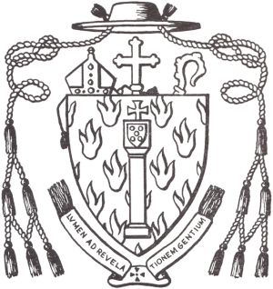 Arms (crest) of Manuel António Pires