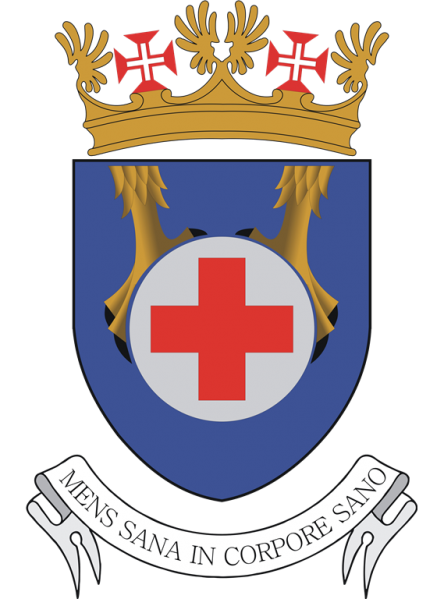 File:Medical Directorate, Portuguese Air Force.png