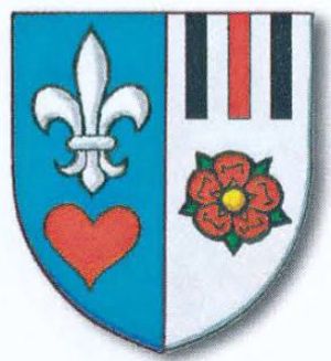 Arms (crest) of Dennis van der Schaeft