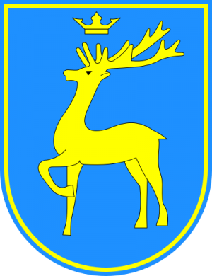 Berezhany Raion.png