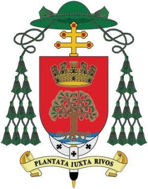 Arms of Eduardo José Castillo Pino