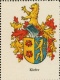 Wappen Kiefer