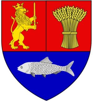 Arms (crest) of Dolj (county)