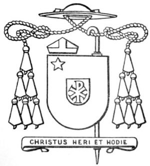 Arms (crest) of José Joaquim Ribeiro