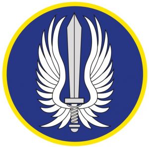 25th Aviation Mission Brigade, Colombian Army.jpg