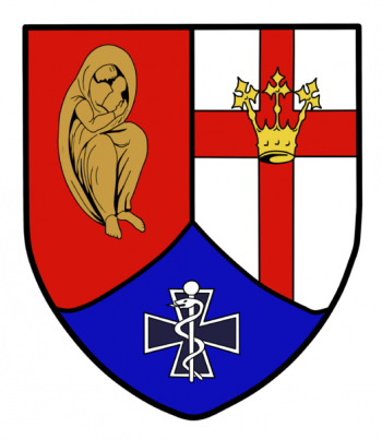 Blason de Medical Regiment 2, Germany/Arms (crest) of Medical Regiment 2, Germany