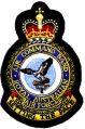 Air Command Band, Royal Australian Air Force.jpg
