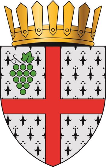 Coat of arms of Cojușna